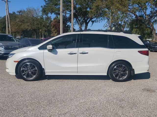 2022 Honda Odyssey Elite