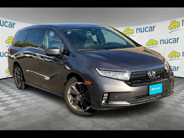 2022 Honda Odyssey Elite