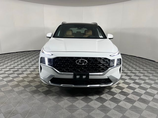 2022 Hyundai Santa Fe Calligraphy