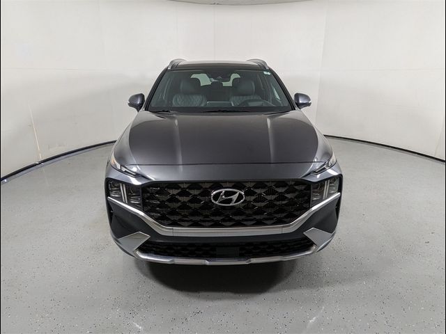 2022 Hyundai Santa Fe Calligraphy