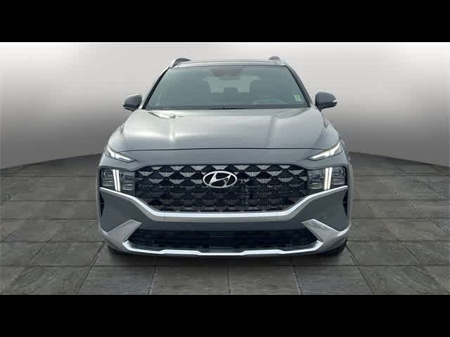 2022 Hyundai Santa Fe Calligraphy