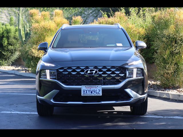 2022 Hyundai Santa Fe Calligraphy