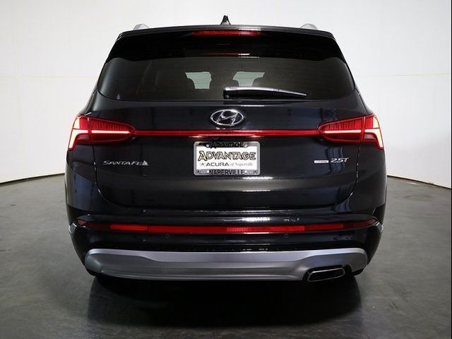 2022 Hyundai Santa Fe Calligraphy