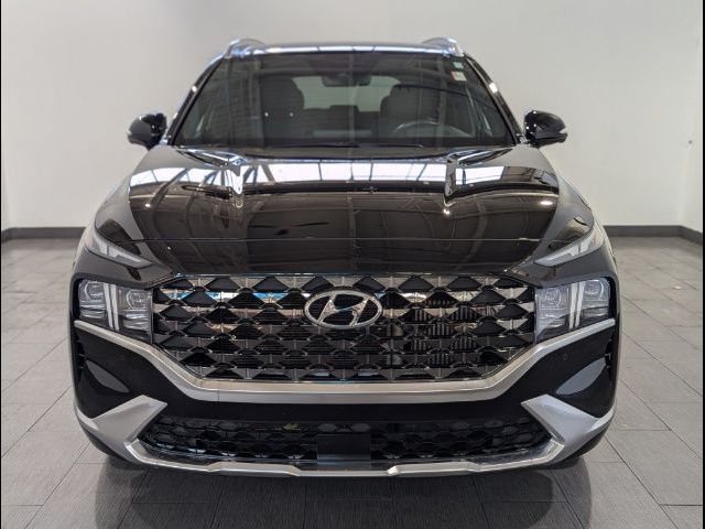 2022 Hyundai Santa Fe Calligraphy