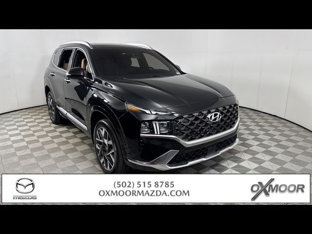 2022 Hyundai Santa Fe Calligraphy