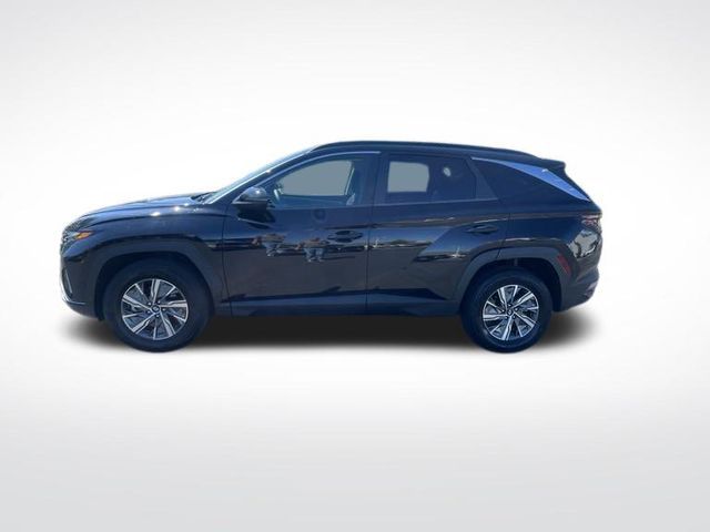 2022 Hyundai Tucson Hybrid Blue