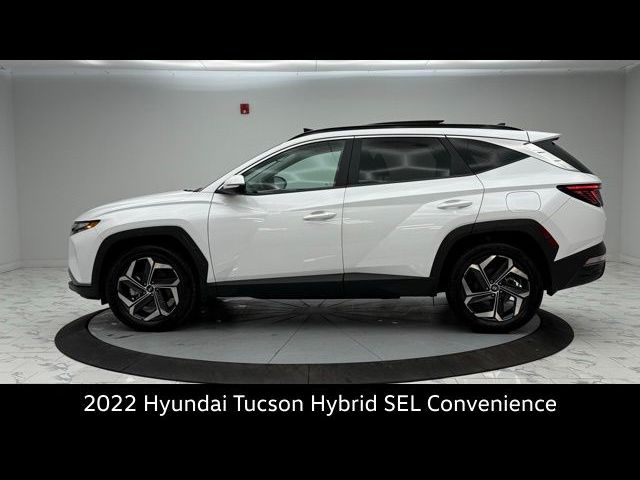 2022 Hyundai Tucson Hybrid SEL Convenience