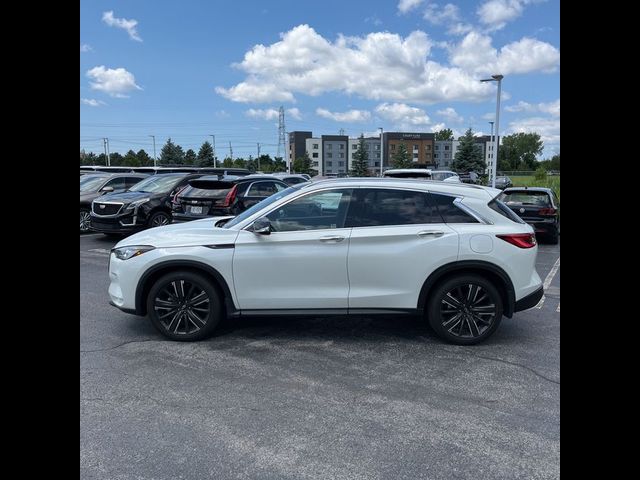 2022 INFINITI QX50 Luxe