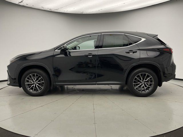 2022 Lexus NX 350h