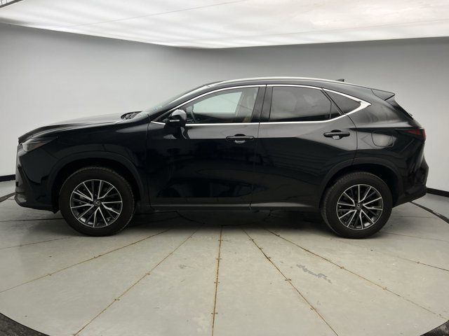 2022 Lexus NX 350