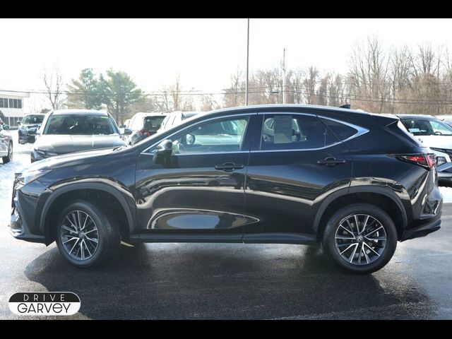 2022 Lexus NX 350 Premium