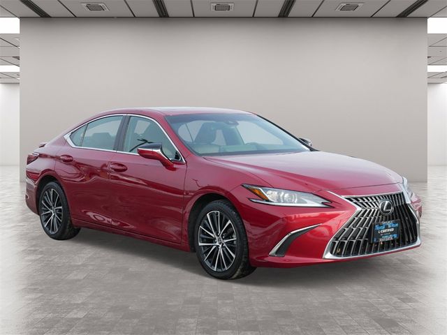 2022 Lexus ES 250