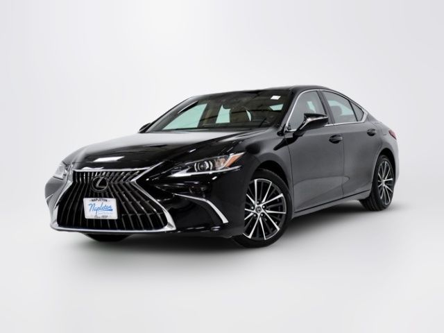 2022 Lexus ES 250