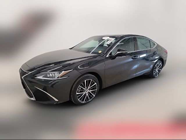 2022 Lexus ES 250