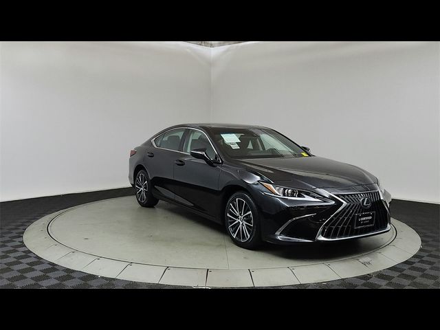 2022 Lexus ES 250