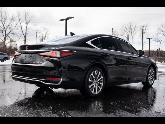 2022 Lexus ES 250