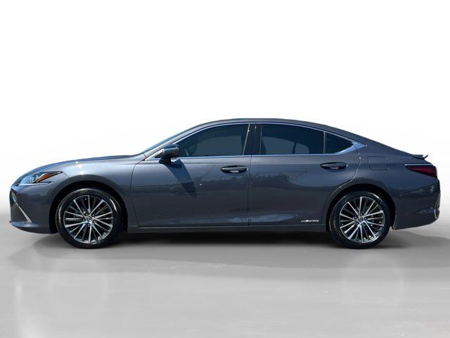 2022 Lexus ES 300h