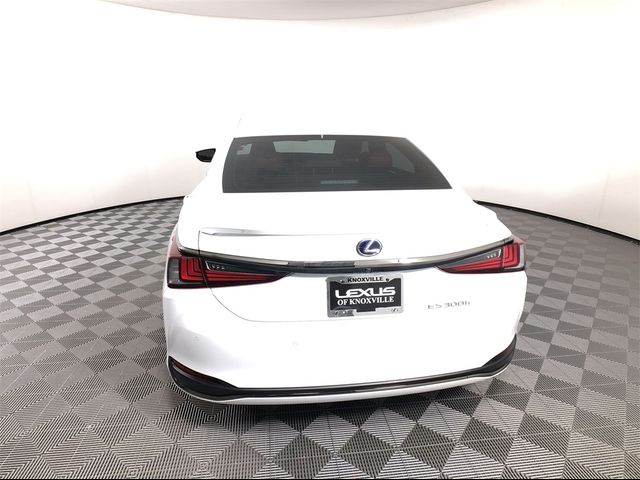 2022 Lexus ES 300h F Sport