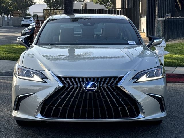 2022 Lexus ES 300h