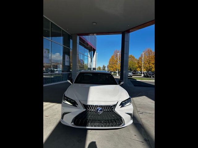 2022 Lexus ES 300h Luxury