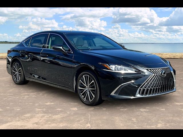 2022 Lexus ES 350