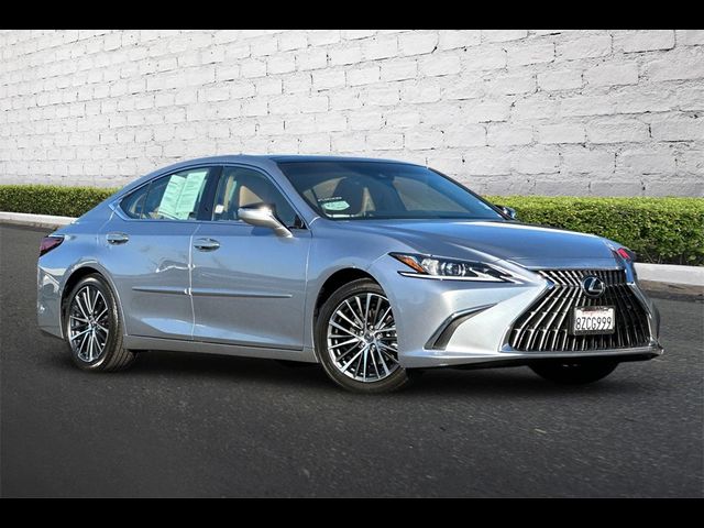 2022 Lexus ES 350