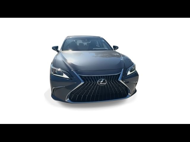 2022 Lexus ES 350