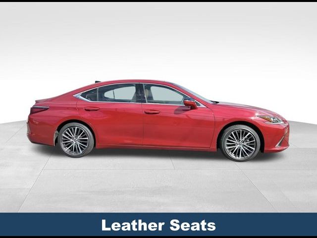 2022 Lexus ES 350