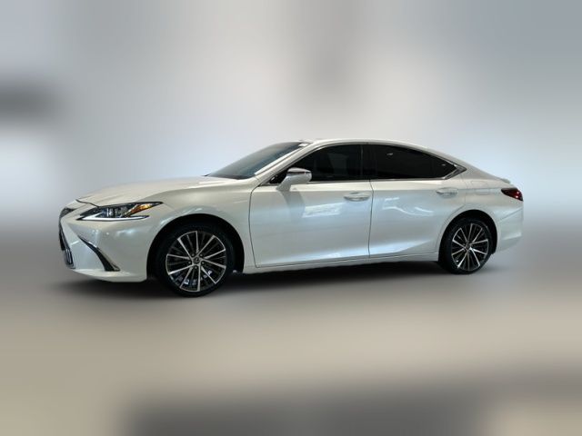 2022 Lexus ES 250