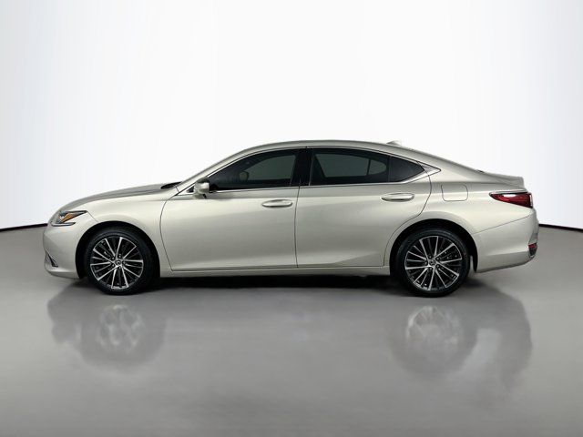 2022 Lexus ES 250