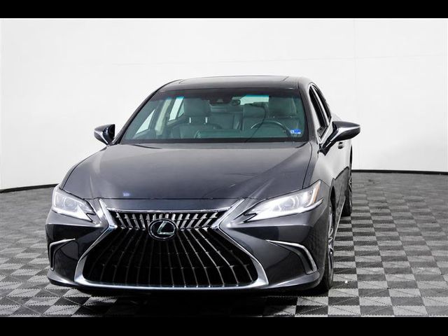 2022 Lexus ES 350