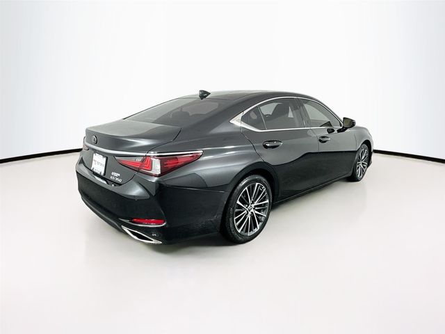 2022 Lexus ES 350