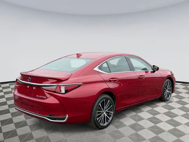 2022 Lexus ES 250