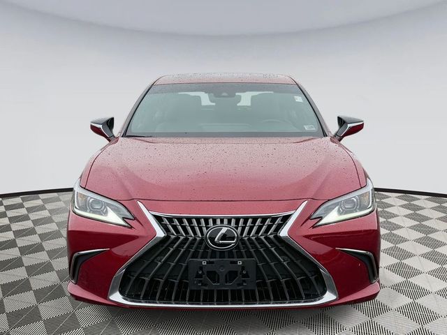 2022 Lexus ES 250