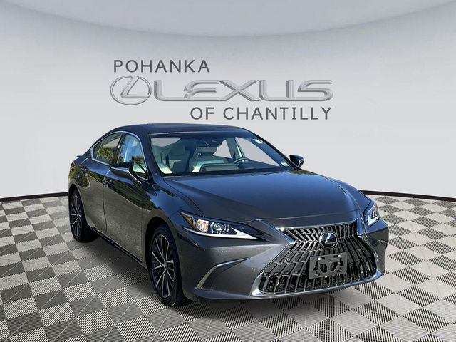 2022 Lexus ES 350