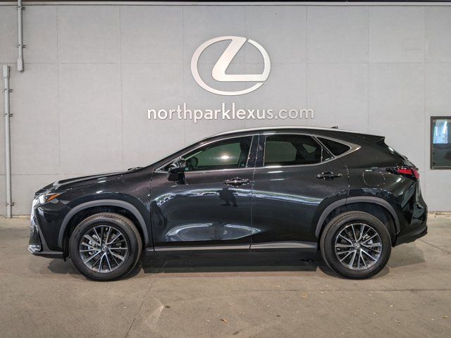 2022 Lexus NX 250