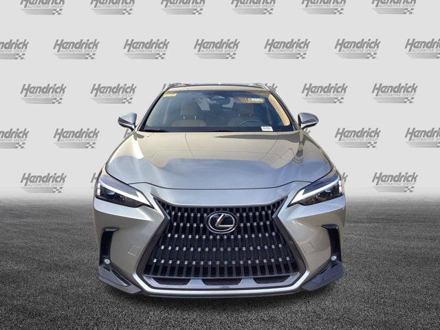 2022 Lexus NX 250