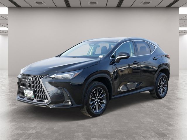 2022 Lexus NX 250