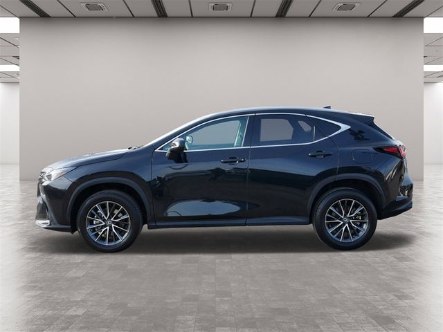 2022 Lexus NX 250