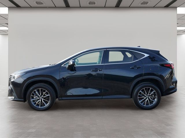 2022 Lexus NX 250