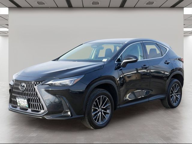 2022 Lexus NX 250