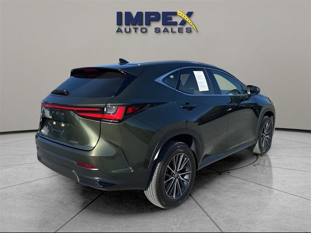 2022 Lexus NX 250