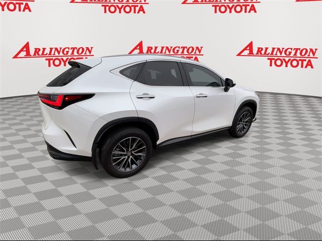 2022 Lexus NX 250