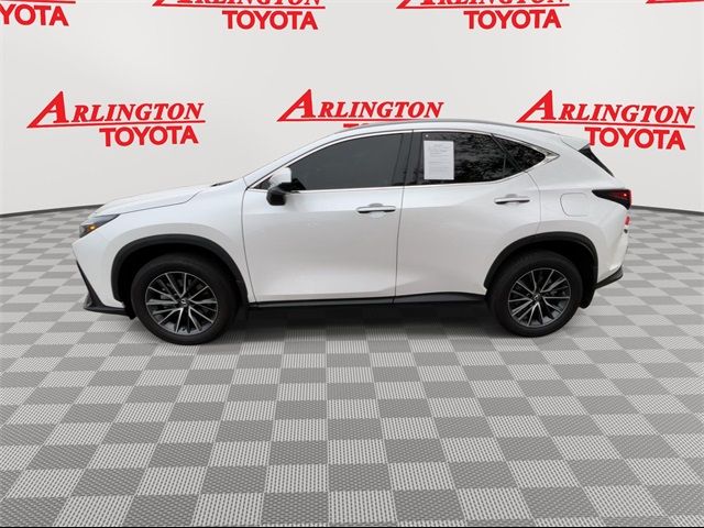 2022 Lexus NX 250