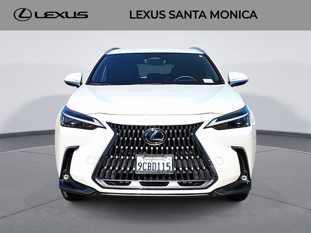 2022 Lexus NX 250