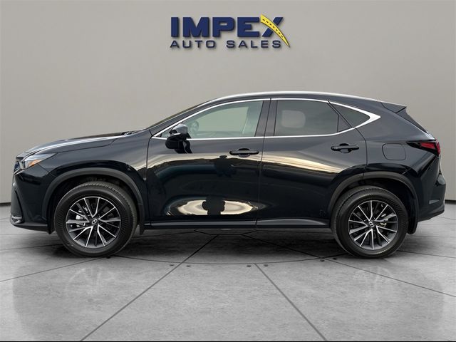 2022 Lexus NX 250