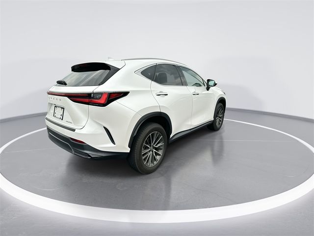 2022 Lexus NX 250