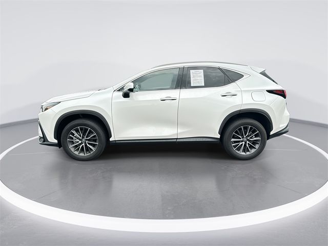 2022 Lexus NX 250