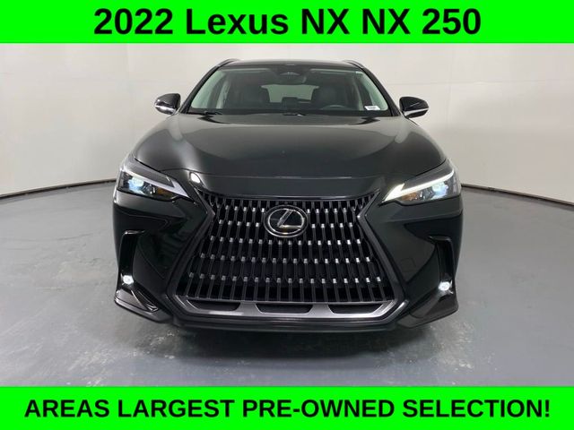 2022 Lexus NX 250