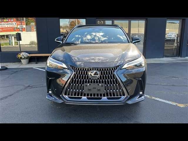 2022 Lexus NX 250